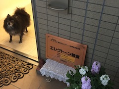 bX摜