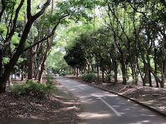 bX摜
